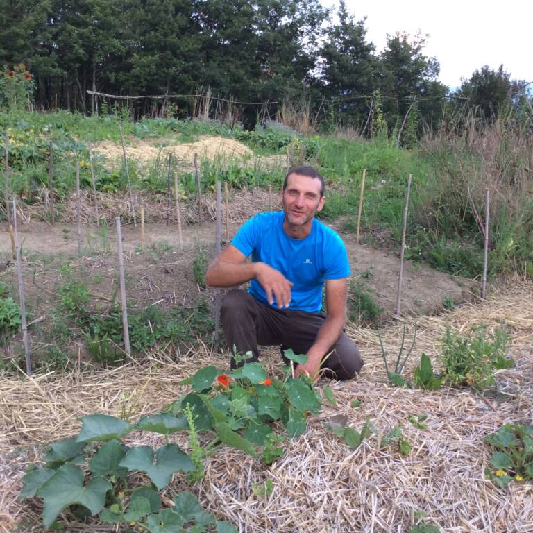 Paolo Rossini Lattuga Verde