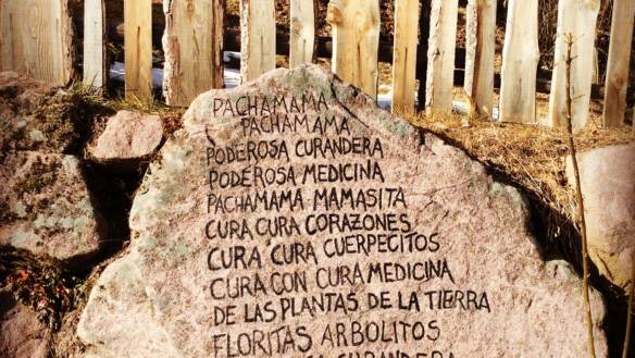 pachamama-curandera-inno