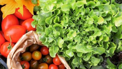 Un nuovo mercato contadino a Tortona: “Ar Marcà du dòp disnà”