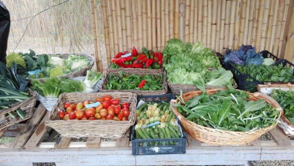 Ceste di verdura presso uno spaccio agricolo